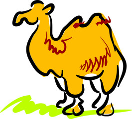 Camel