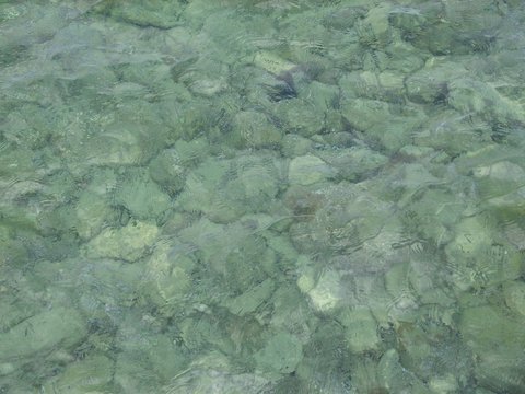 just saltwater