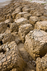 Dry,Soil dry at industrail area Rayong Thailand
