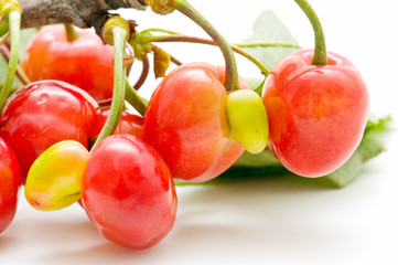 cerezas frescas