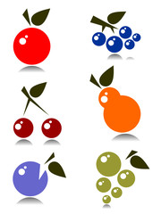 fruits set