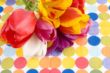 Fototapeta na wymiar tulips on a dotted background