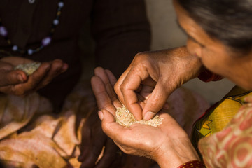 Tri du riz