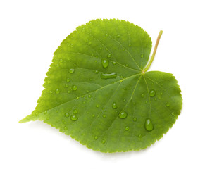 Fototapeta na wymiar Green leaf with water drops