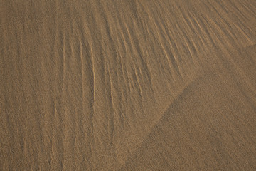 Fuerteventura Sand
