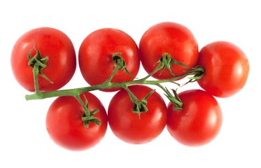 Fresh tomatoes on the white background