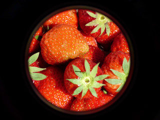 erdbeeren