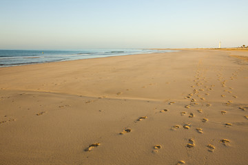 Fuerteventura