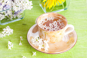 cup of tea and spring branch