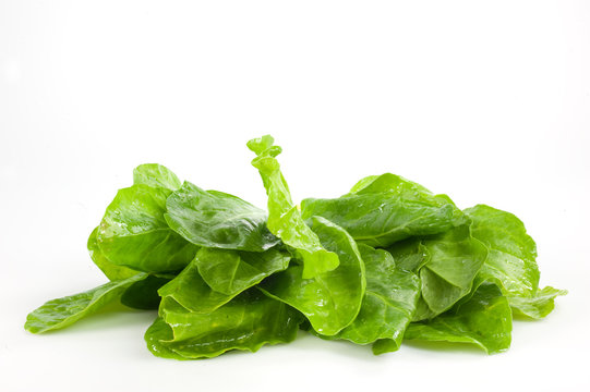 bietole