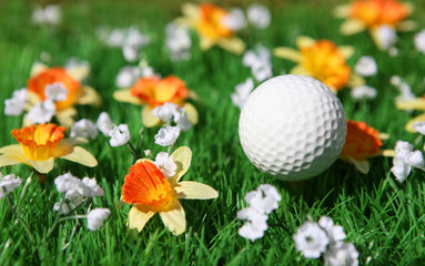 Naklejka premium golf ball