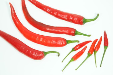 Red Fresh Chili On White Backgound