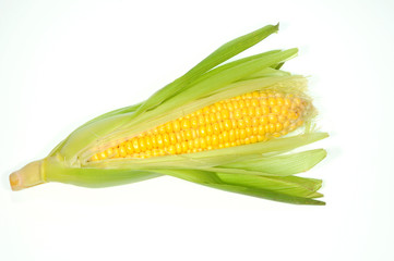 Fresh Sweet Corn Showing The Kernels