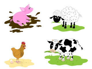 Farm Animals, pig, sheep, chicken, cow