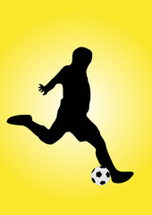 Fototapeta na wymiar soccer player shooting the ball