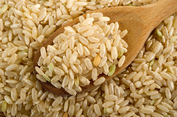 brown rice - riso integrale