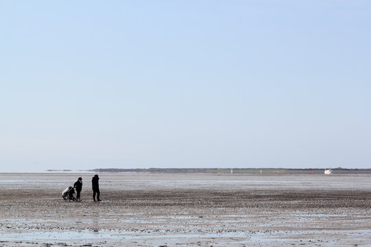 Mudflat Image Mudflat Walking Images – Browse 1,598 Stock Photos, Vectors, and Video ...
