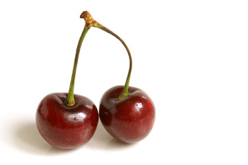 Two red cherries isolated on a white background