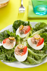 salad of letuce egg tuna and olive