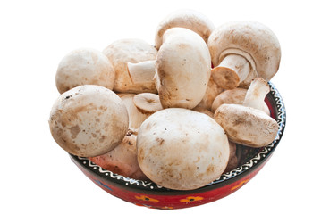 mushroom