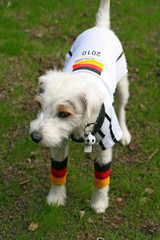 fussballweltmeisterschaft