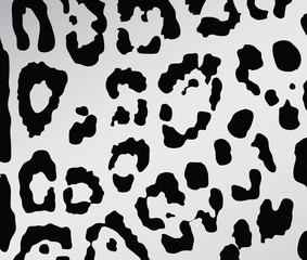 Leopard skin texture