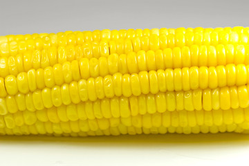 Close-up of Corn Cob