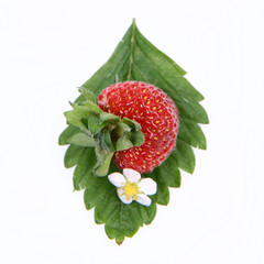Strawberry on a leaf with a flower on white background