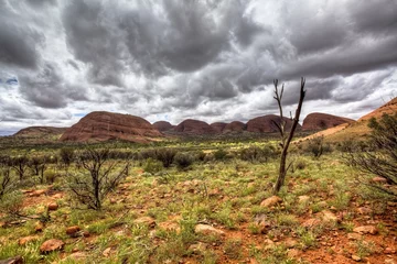 Foto auf Acrylglas australian outback © Tommaso Lizzul