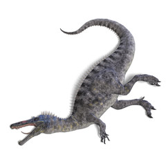 Dinosaur Suchominus. 3D rendering with clipping path and shadow