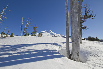 Mount Hood Ski Slope