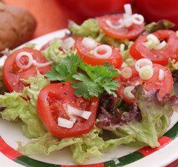 Frischer Salat