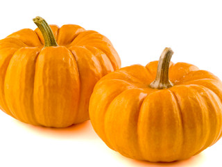 Mini Pumpkins Isolated on a White Background
