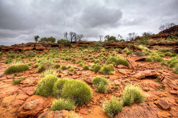 australian outback