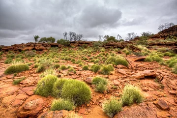 Fotobehang australian outback © Tommaso Lizzul