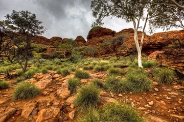 Schilderijen op glas australian outback © Tommaso Lizzul