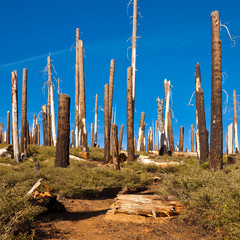 Smith Peak Trail