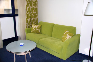 sofa in the style room