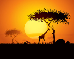 Fototapeta na wymiar spokojne sceny zachód słońca w Afryce