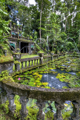 Fototapeta na wymiar castle in tropical forest