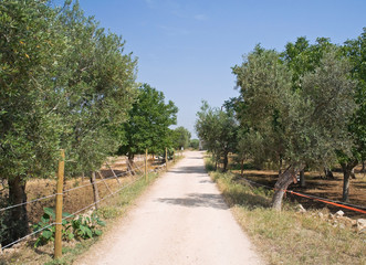 Country footpath.