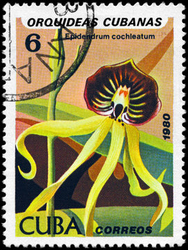 CUBA - CIRCA 1980 Oncidium