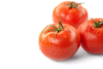 fresh tomatoes on the white background