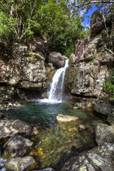 Fototapeta na wymiar tropical river in the rain forest queensland australia
