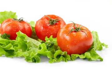 Tomatoes and lettuce  on the  white background