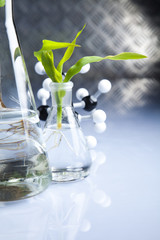 Working in a laboratory and plants