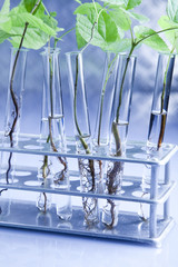 Eco laboratory