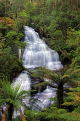 Fototapeta premium green waterfall