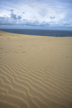 dunes on the ocean