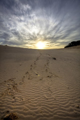 Fototapeta premium sunset on a dune